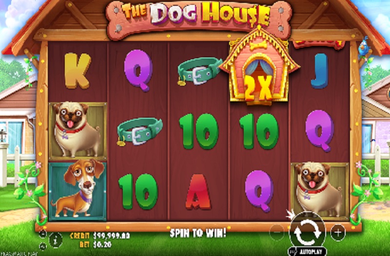 The Dog House