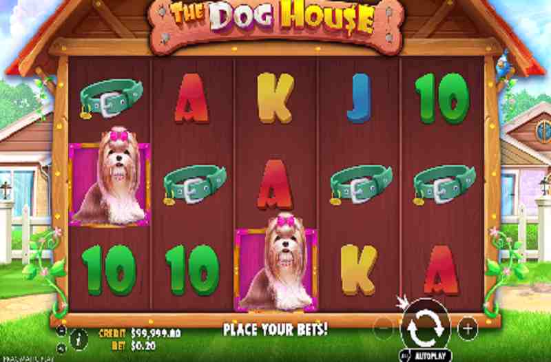 The Dog House
