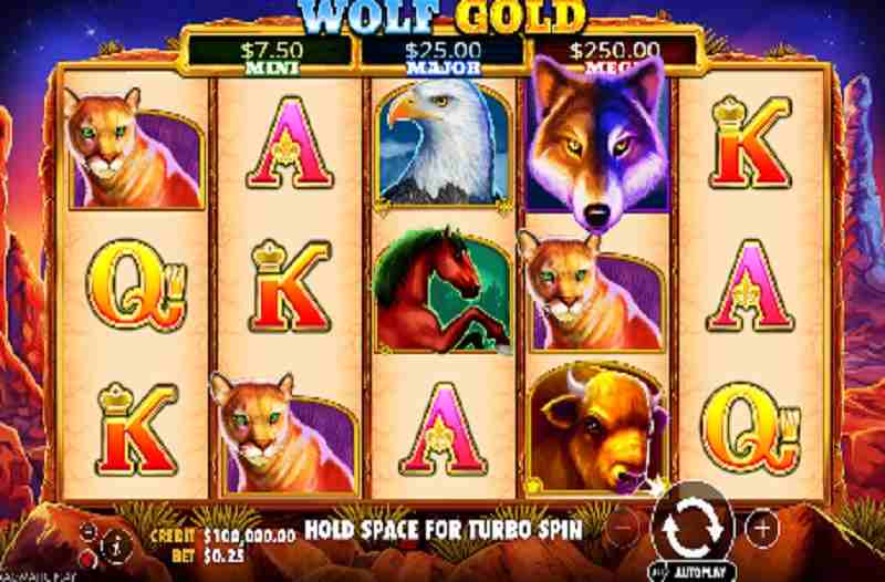 Wolf Gold