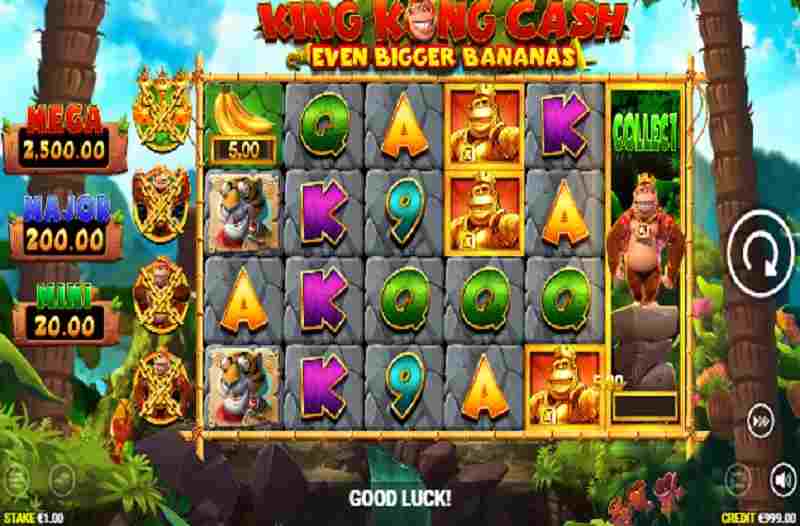 King Kong Cash