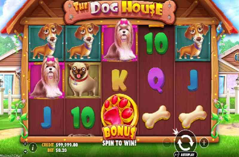 The Dog House