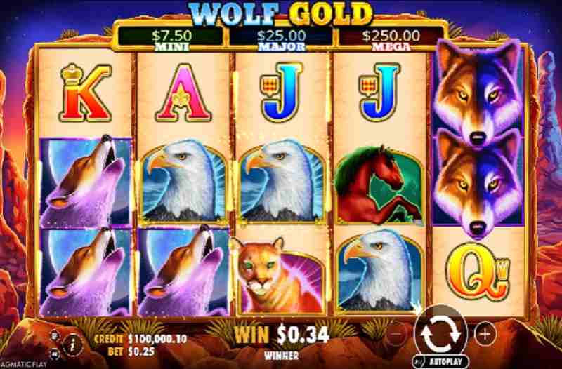 Wolf Gold