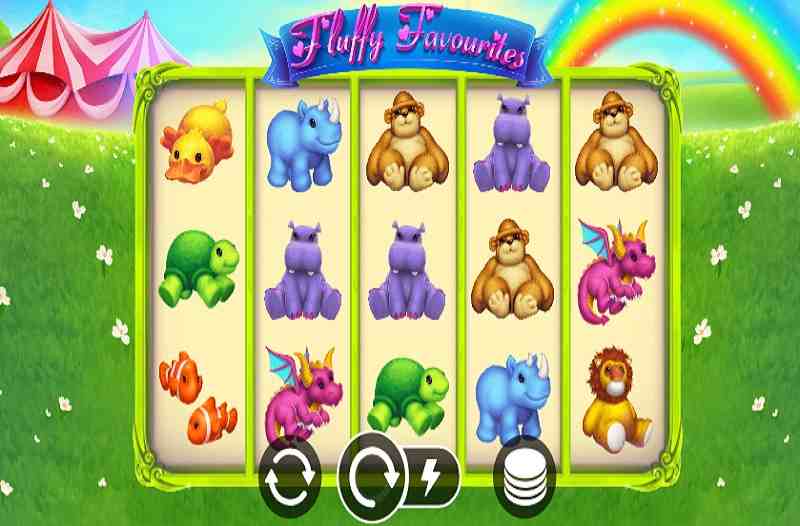 Fluffy Favourites