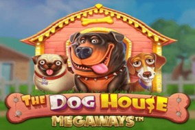 The Dog House Megaways