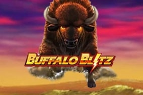 Buffalo Blitz