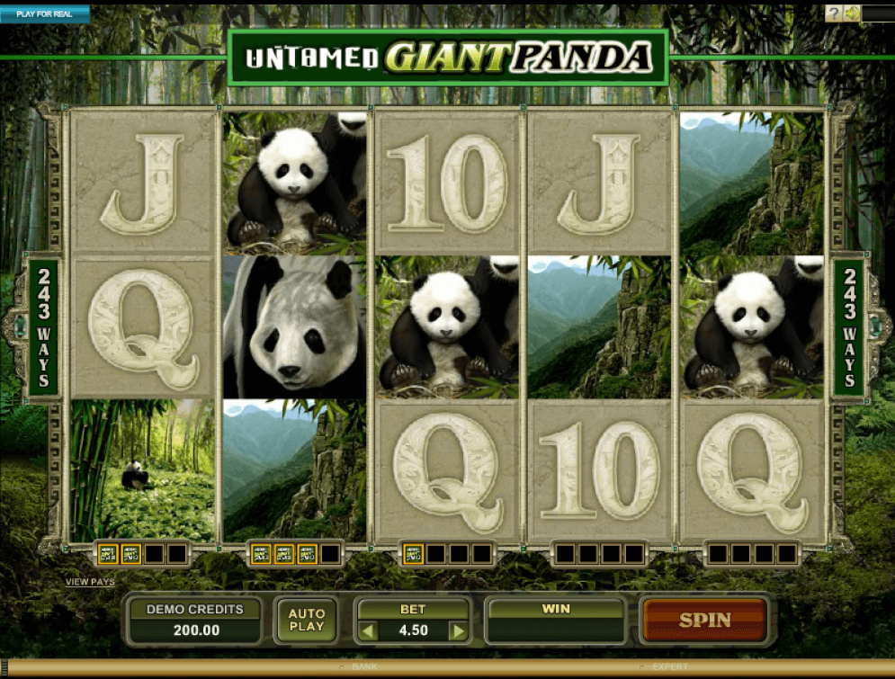 Untamed &ndash; Giant Panda Slot